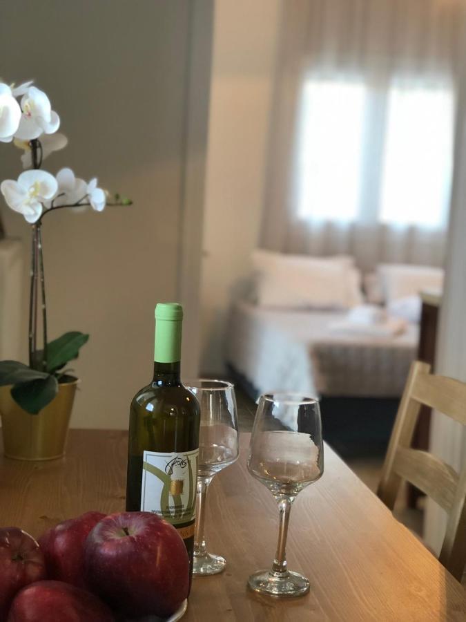 Vasilítsion Αgrilitsa House 아파트 외부 사진
