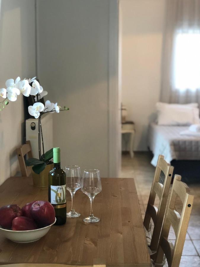 Vasilítsion Αgrilitsa House 아파트 외부 사진