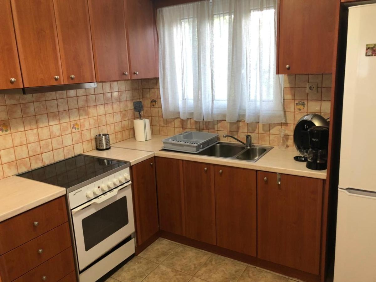 Vasilítsion Αgrilitsa House 아파트 외부 사진